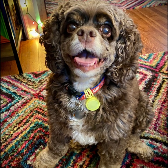 Meet your Posher, Melissa - Picture 1 of 1